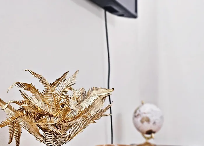 Ninho Vila Nova de Gaia